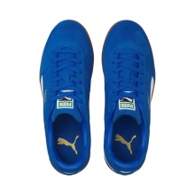 Puma Indoor Shoes Handball Suede Blue Men